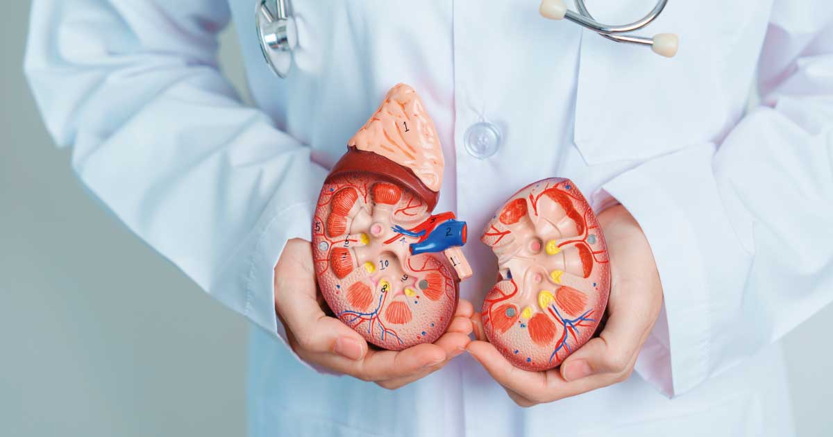 Transporte de doentes acamados e em maca: como funciona