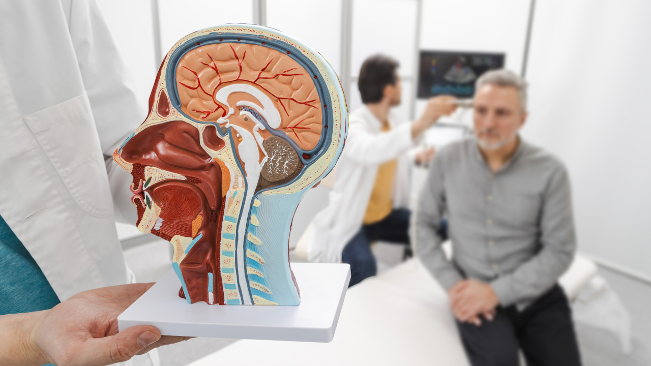 Stroke patients: how to support them and adapt life after a stroke
