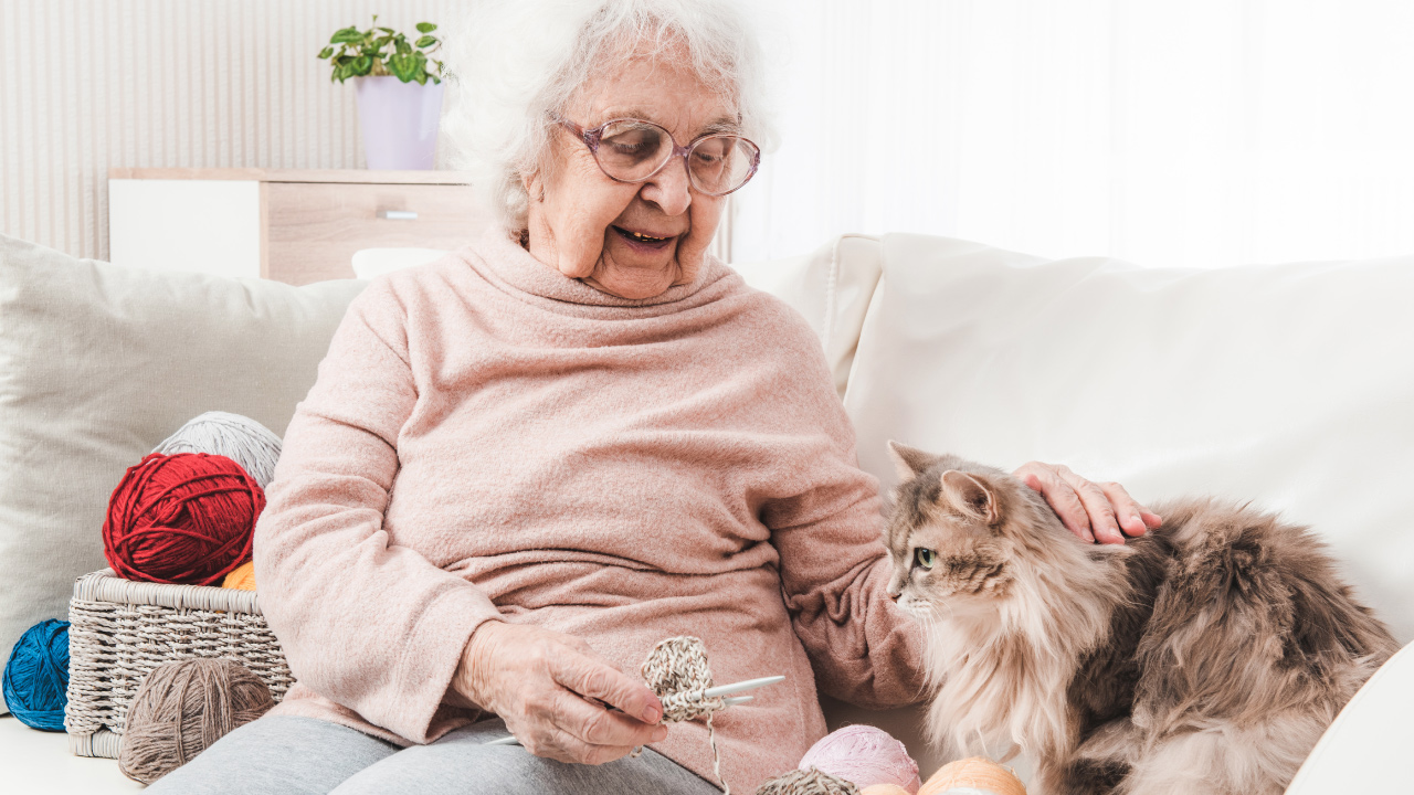 Pets for the elderly: a senior's best friend